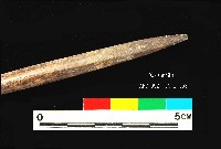 芝山岩文化骨尖器藏品圖，第3張