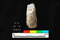 芝山岩文化骨鑿藏品圖，第2張