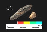 芝山岩文化木塊藏品圖，第1張