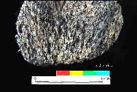 芝山岩文化帶穗稻穀糰塊藏品圖，第2張