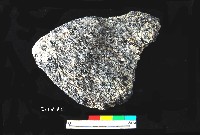 芝山岩文化帶穗稻穀糰塊藏品圖，第3張