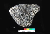 芝山岩文化帶穗稻穀糰塊藏品圖，第5張