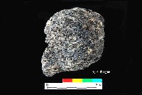 芝山岩文化帶穗稻穀糰塊藏品圖，第10張