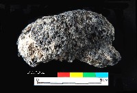 芝山岩文化帶穗稻穀糰塊藏品圖，第12張