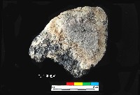 芝山岩文化帶穗稻穀糰塊藏品圖，第15張