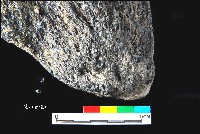 芝山岩文化帶穗稻穀糰塊藏品圖，第19張