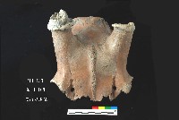 芝山岩文化鹿頭藏品圖，第4張