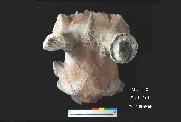 芝山岩文化鹿頭藏品圖，第5張