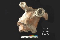 芝山岩文化鹿頭藏品圖，第7張