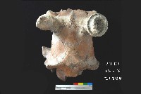 芝山岩文化鹿頭藏品圖，第8張
