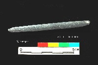 圓山文化兩縊型網墜藏品圖，第2張