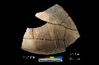 芝山岩文化黑彩折腹器藏品圖，第3張