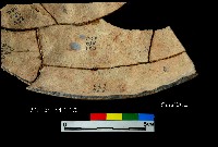 芝山岩文化黑彩折腹器藏品圖，第4張