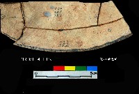 芝山岩文化黑彩折腹器藏品圖，第5張