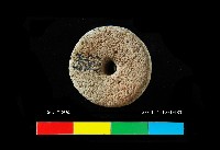 芝山岩文化陶紡輪藏品圖，第2張