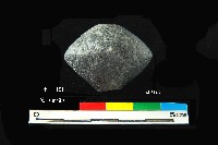 芝山岩文化陶紡輪藏品圖，第1張