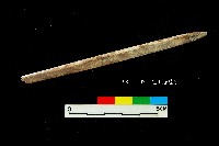 芝山岩文化骨尖器藏品圖，第3張