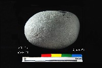 芝山岩文化石錘藏品圖，第4張