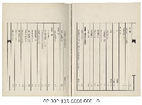 海外族譜文獻（菲律賓濟陽柯蔡宗親總會六十週年紀念特刊 59年）藏品圖，第2張