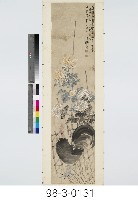 雄雞藏品圖，第1張