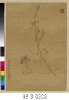 芝蘭圖藏品圖，第1張