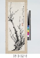 仿八大山人梅花藏品圖，第1張