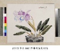 郭雪湖-蘭花藏品圖，第1張