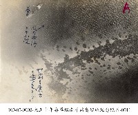 大正十年春軍艦南洋諸島巡航紀念照片-0011藏品圖，第1張