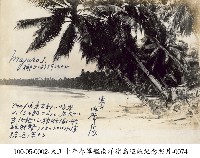 大正十年春軍艦南洋諸島巡航紀念照片-0074藏品圖，第1張