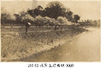 林茂生結婚照-0069藏品圖，第1張