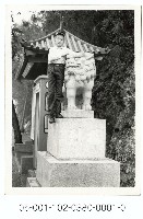 神社狛犬與男童藏品圖，第1張