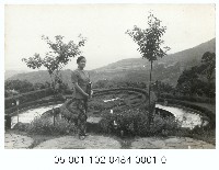 陽明公園花鐘前留影-婦女獨照藏品圖，第1張