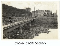 圓山飯店旁小橋藏品圖，第1張