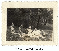 遊客與大樹合影(2)藏品圖，第1張