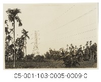日月潭第二發電所竣工寫真（日月潭送電線路）藏品圖，第1張