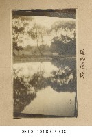 殖物園內(今日之臺北植物園)藏品圖，第1張