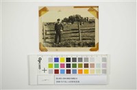 男孩與乳牛藏品圖，第1張