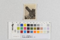 美軍轟炸臺灣總督府毀損-照片藏品圖，第1張