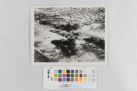 美軍轟炸新竹地區-低空轟炸照片藏品圖，第1張