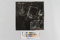 美軍轟炸新竹地區-低空轟炸照片藏品圖，第1張