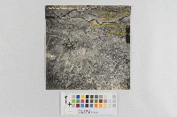 美軍轟炸新竹地區-低空轟炸照片藏品圖，第1張