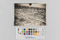 美軍轟炸嘉義地區-低空轟炸照片藏品圖，第1張