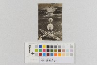 美軍轟炸花蓮機場-低空轟炸照片藏品圖，第1張