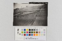 美軍轟炸澎湖豬母水機場-低空轟炸照片藏品圖，第1張