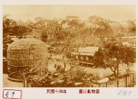 圓山動物園藏品圖，第1張