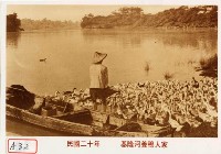 基隆河養鴨人家藏品圖，第1張