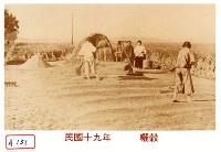 曬榖藏品圖，第1張