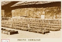 甘蔗種苗之培育藏品圖，第1張