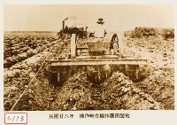 蔗田整地藏品圖，第1張