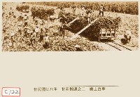 甘蔗輸運之二 搬上台車藏品圖，第1張